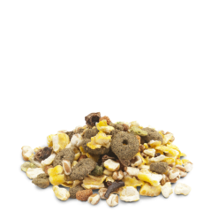 Crispy Snack Popcorn 10kg - Délicieux snack très léger pour lapins et rongeurs 461051 Versele-Laga 18,10 € Ornibird