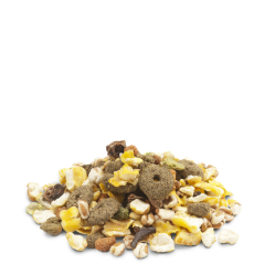 Crispy Snack Popcorn 650gr - Délicieux snack très léger pour lapins et rongeurs - 3,10 € - Versele-Laga - 5410340617304 - Ornibird SRL