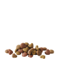 Happy Life Adult au Saumon 3kg - Aliment varié à base de saumon - pour les chiens adultes actifs Happy Life Adult au Saumon 3kg - Aliment varié à base de saumon - pour les chiens adultes actifs
