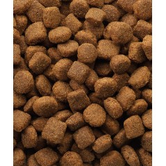 Classic Lamb & Rice 20kg - Adultes toutes races - 38,95 € - Versele-Laga - 5410340380178 - Ornibird SRL