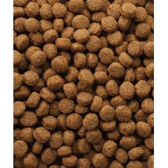 Classic Puppy 10kg - Toutes races - 20,95 € - Versele-Laga - 5410340380147 - Ornibird SRL