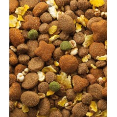 Classic Special Dinner 20kg - Adultes toutes races - 37,95 € - Versele-Laga - 5410340380161 - Ornibird SRL