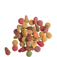 Lara Adult with Salmon 350gr - Croquettes délicieuses au saumon - chats adultes à 1,95 € - Versele-Laga - 441072 - Lara