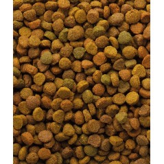 Classic Variety 10kg - Toutes phases de vie à 21,25 € - Versele-Laga - 441272 - Classic