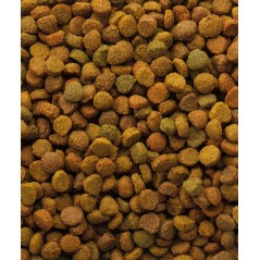 Classic Variety 10kg - Toutes phases de vie 441272 Versele-Laga 20,95 € Ornibird