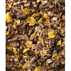 Cavalor SPORT - Action Mix 20kg - Mélange sport de base pour des efforts sportifs de récréation - 14,45 € - Versele-Laga - 5410340724897 - Ornibird SRL