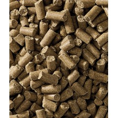 Cavalor SPORT - Action Pellet 20kg - Granulé sport de base pour des efforts sportifs de récréation - 15,55 € - Versele-Laga - 5410340724880 - Ornibird SRL