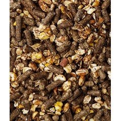 Cavalor SPECIAL CARE - Pianissimo 20kg - Aliment spécialement composé pour chevaux et poneys nerveux - 18,90 € - Versele-Laga - 5410340726938 - Ornibird SRL