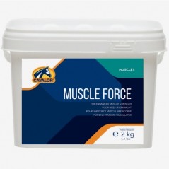 Cavalor Muscle Force 2kg - Pour plus de force musculaire 472535 Versele-Laga 169,00 € Ornibird