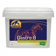 Ornibird SRL - Chevaux