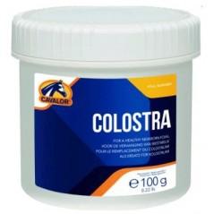 Cavalor Colostra 24 100gr - En substitut du colostrum - 59,75 € - Versele-Laga - 5425016900277 - Ornibird SRL