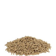 Country's Best SHOW 3 Pellet 20kg - Granulé (2mm) d'entretien dès la 13ème semaine 451029 Versele-Laga 16,20 € Ornibird