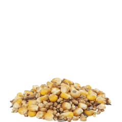 Country's Best GRA-MIX Mélange Poules 4kg - Mélange de céréales avec du maïs entier et graines de tournesol 463017 Versele-La...