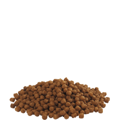 Country's Best FLOATING FLAMINGO 15kg - Granulé (4mm) flottant pour flamants roses dès 4ème semaine - 28,35 € - Versele-Laga - 5410340510407 - Ornibird SRL