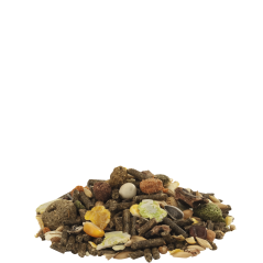 Country's Best CUNI FIT Muesli 20kg - Mélange très varié de granulés, de flocons et de graines à 17,70 € - Versele-Laga - 451...