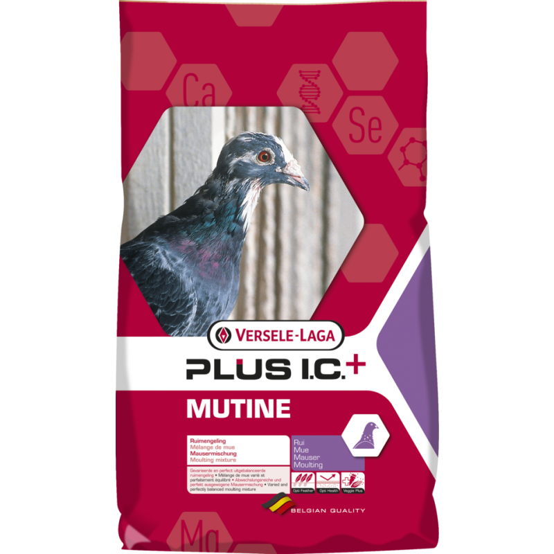 Plus I.C.⁺ Mutine 20kg - Mélange complet de mue pour un changement de plumage parfait 411057 Versele-Laga 21,65 € Ornibird