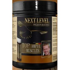 Top Ampul Muscles 16 pcs - NextLevel 18003 NextLevel 64,25 € Ornibird