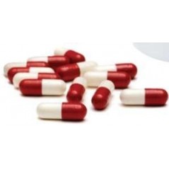 Recup Forte Caps Récuperation Après Un Exercise Physique Intense 180caps - Winners - 21,40 € - Winners - 5414974812012 - Ornibird SRL