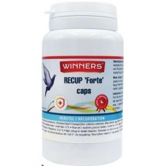 Recup Forte Caps Récuperation Après Un Exercise Physique Intense 180caps - Winners à 21,40 € - Winners - 81201 - Complément A...
