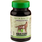 Nekton-Biotic-Dog 40gr - Probiotique Pour Chien - Nekton Nekton-Biotic-Dog 40gr - Probiotique Pour Chien - Nekton