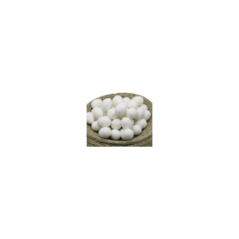 Oeuf de Canaris en plastique solide 50pcs Oeuf de Canaris en plastique solide 50pcs