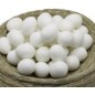 Oeuf de Canaris en plastique solide 50pcs Oeuf de Canaris en plastique solide 50pcs