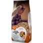 Grand Perruche Mix 20kg - Duvo+ Grand Perruche Mix 20kg - Duvo+