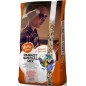 Perroquet Spécial Mix 12,5kg - Duvo+ Perroquet Spécial Mix 12,5kg - Duvo+