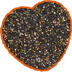 Graines de Germination Mix 20kg - Duvo+ - 50,95 € - Duvo + - 5414365352400 - Ornibird SRL