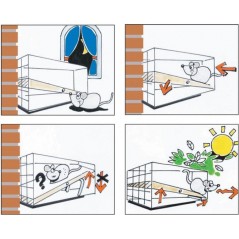 Piege à Souris trip trap en plastique Beige 22x6x9cm - Duvo+ - 16,45 € - Duvo + - 5414365073473 - Ornibird SRL