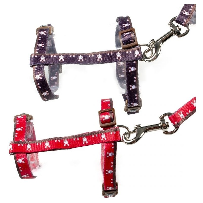 Set de promenade Rabbit Rouge ou Mauve 25-45cm/10mm - 120cm/10mm - Duvo+ Set de promenade Rabbit Rouge ou Mauve 25-45cm/10mm - 120cm/10mm - Duvo+
