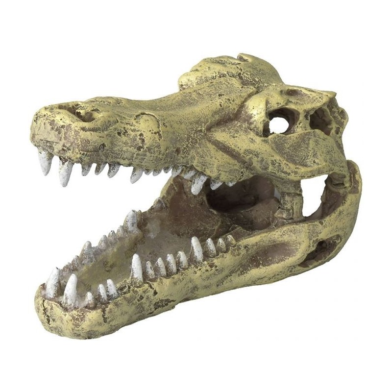 Crocodile head S-13,5x6,5x7,5cm - Aqua Della 234/426500 Aqua Della 20,55 € Ornibird