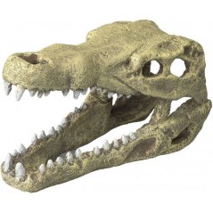 Crocodile head M-19,5x9,5x10,5cm - Aqua Della 234/426517 Aqua Della 24,95 € Ornibird