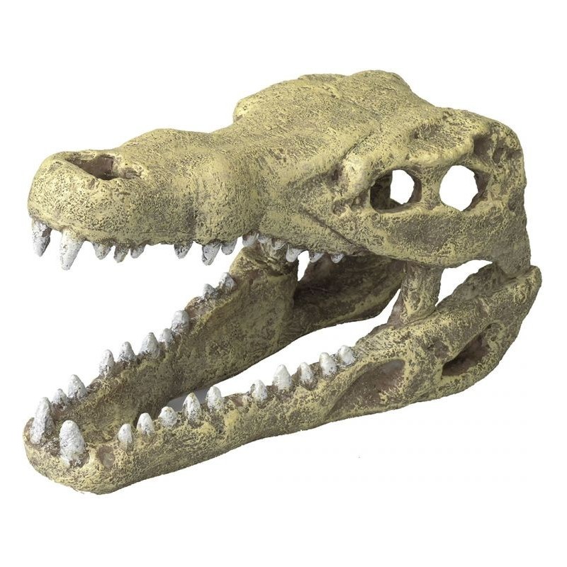 Crocodile head M-19,5x9,5x10,5cm - Aqua Della 234/426517 Aqua Della 24,95 € Ornibird