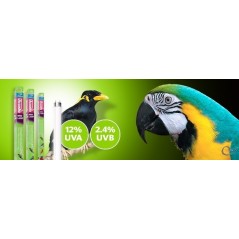 Néon pour oiseaux 30 Watts 90cm - Arcadia à 24,45 € - Arcadia - 600930 - Néons