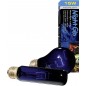 Exo Lampe clair de lune 15w - Exo Terra