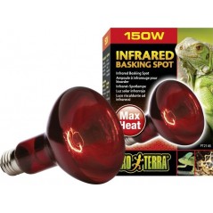 Exo Lampe Infrared Basking Spot 150w - Exo Terra 33/PT2146 Exo Terra 14,33 € Ornibird