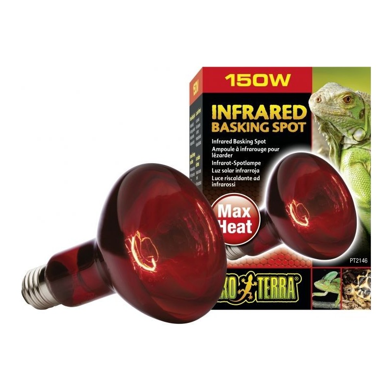 Exo Lampe Infrared Basking Spot 150w - Exo Terra 33/PT2146 Exo Terra 14,33 € Ornibird