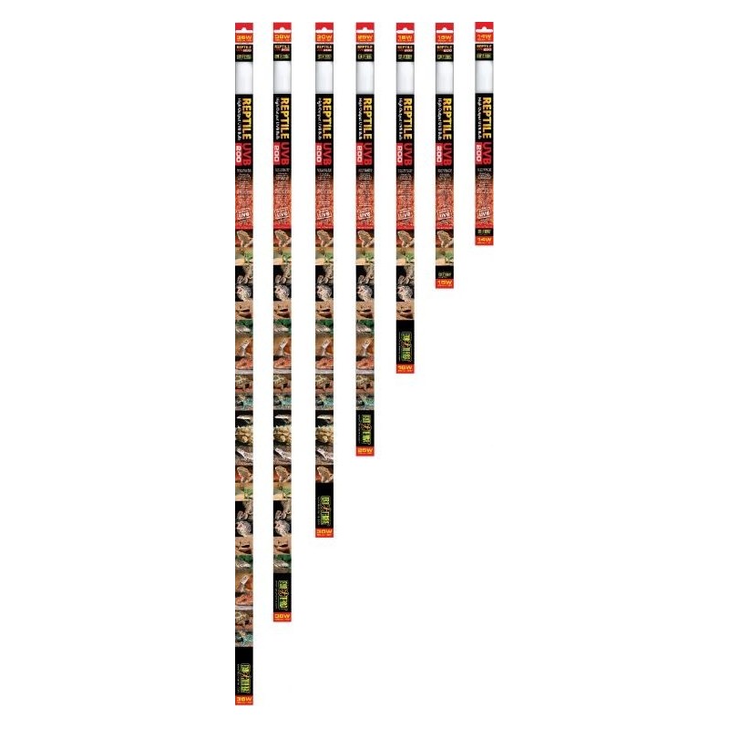 Exo Reptile UVB200 T8 Intense 30w-90cm - Exo Terra 33/PT2354 Exo Terra 38,14 € Ornibird Exo Reptile UVB200 T8 Intense 30w-90cm - Exo Terra 33/PT2354 Exo Terra 38,14 € Ornibird