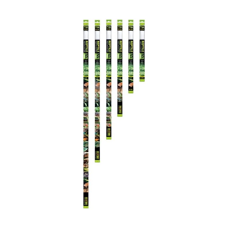 Exo Reptile UVB100 T8 Tropical 36w-120cm - Exo Terra 33/PT2389 Exo Terra 45,07 € Ornibird Exo Reptile UVB100 T8 Tropical 36w-120cm - Exo Terra 33/PT2389 Exo Terra 45,07 € Ornibird