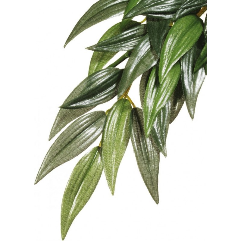 Exo Ruscus M - Exo Terra 33/PT3041 Exo Terra 9,95 € Ornibird Exo Ruscus M - Exo Terra 33/PT3041 Exo Terra 9,95 € Ornibird
