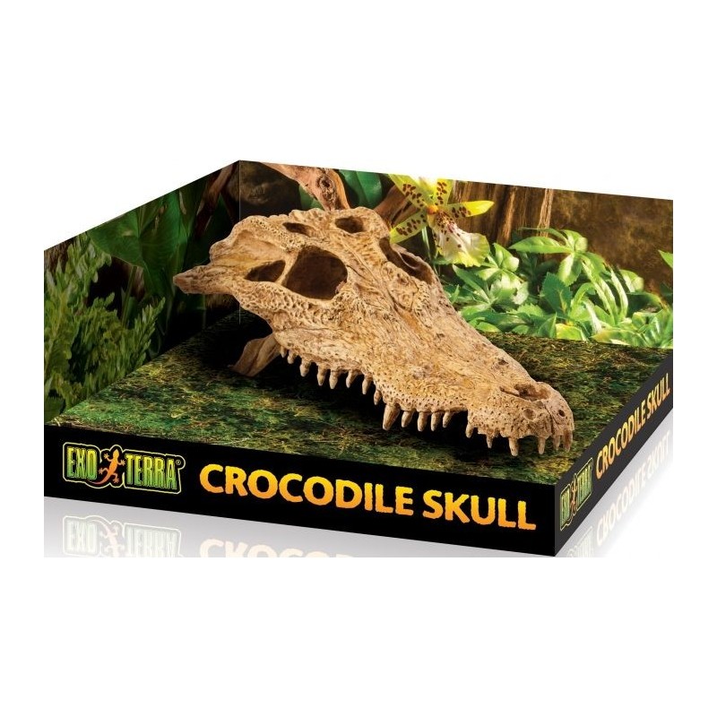 Exo Crâne Crocodile 23x12x7,5cm - Exo Terra 33/PT2856 Exo Terra 17,95 € Ornibird