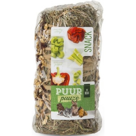 Ornibird SRL - Snacks aux épices, fruits & légumes