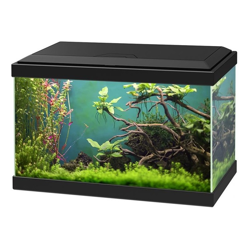 Aqua 20 Classic Noir 40x20x24,8cm - Ciano 77540133 Ciano 60,50 € Ornibird Aqua 20 Classic Noir 40x20x24,8cm - Ciano 77540133 Ciano 60,50 € Ornibird