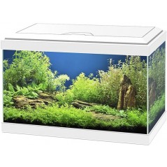 Aqua 20 Led Blanc 40x20x24,8cm - Ciano 77540142 Ciano 75,00 € Ornibird