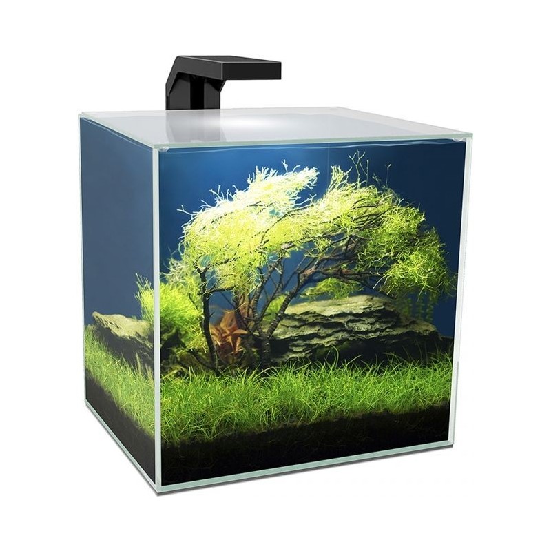 Cube 15 Led 14L - Ciano 77690138 Ciano 85,95 € Ornibird Cube 15 Led 14L - Ciano 77690138 Ciano 85,95 € Ornibird