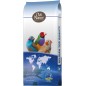 N°42 Diamant Mandarin Supreme 20kg - Deli Nature N°42 Diamant Mandarin Supreme 20kg - Deli Nature