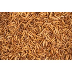Chix Vers de Farine 500gr - Deli Nature à 11,45 € - Deli Nature - 026173 - Volaille