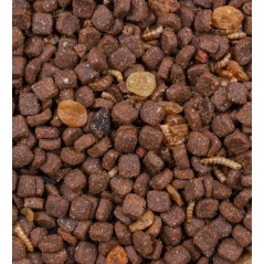 Greenline Hedgehog Mix 600gr - Deli Nature - 3,45 € - Deli Nature - 8711242012998 - Ornibird SRL