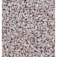 Greenline Peeled Sunflowerseed 850gr - Deli Nature - 3,55 € - Deli Nature - 8711242013070 - Ornibird SRL